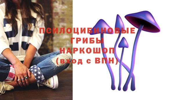 героин Абаза