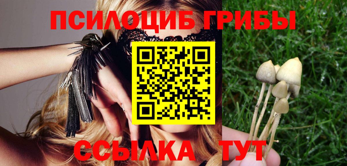 где продают   Вход с VPN  Псилоцибиновые грибы ЛСД  Нарьян-Мар  Галлюциногенные грибы Psilocybe 